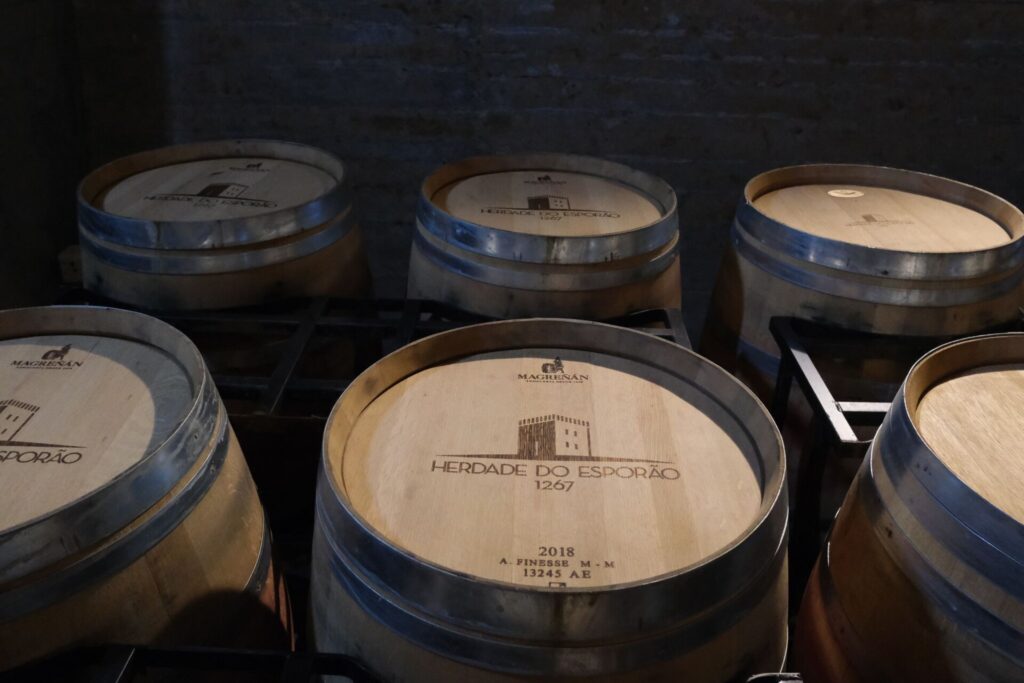 Pottery, Wine, and Cork: A Day of Crafting Traditions in Évora